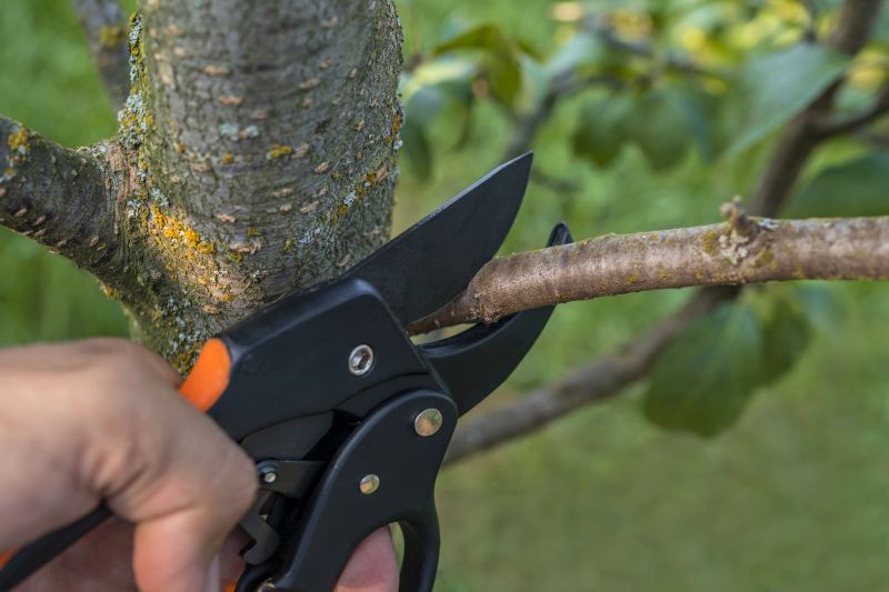Pruning Trees in Winter