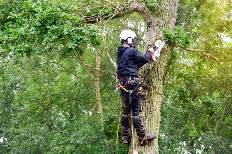 Tree Trimming Specialists