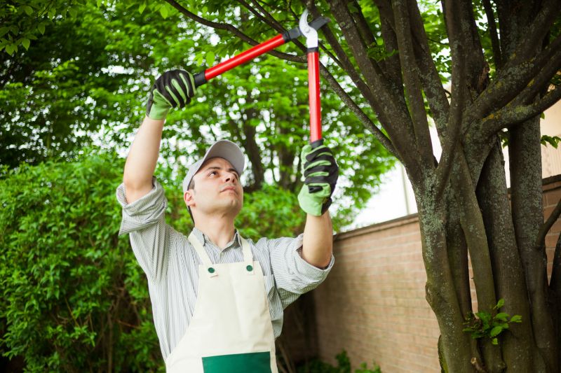 Tree Pruning Techniques